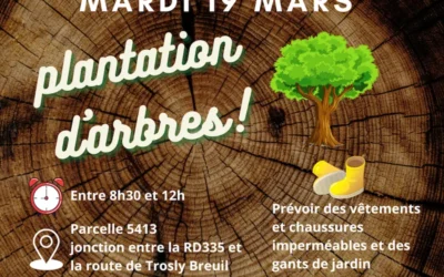 Plantation d’arbres le 19 mars : la forêt a besoin de vous !